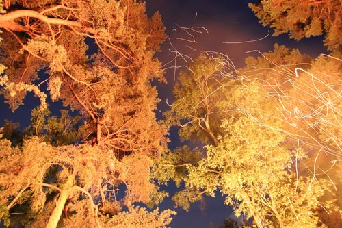 Blick in den Abendhimmel, Feuer und fliegende Funken erleuchten die Baumkronen. Was möchte uns der Autor damit sagen?